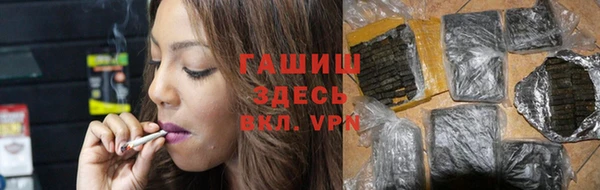 сатива Аркадак