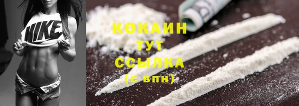 сатива Аркадак
