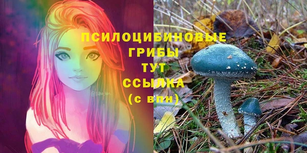 спиды Зеленодольск