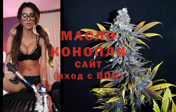 сатива Аркадак