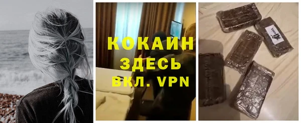 сатива Аркадак