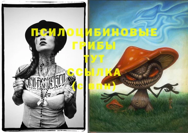 сатива Аркадак