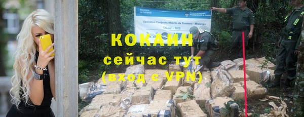 сатива Аркадак